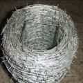 Superior quality factory outlet  multiple processing modes wire material  barbed wire